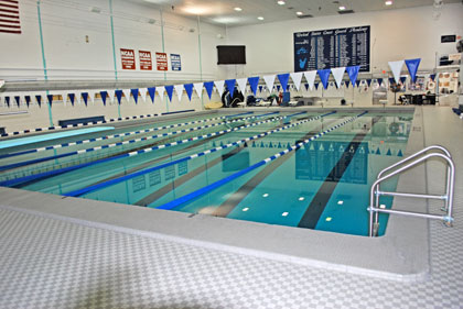 Commercial Swimming Pool Image