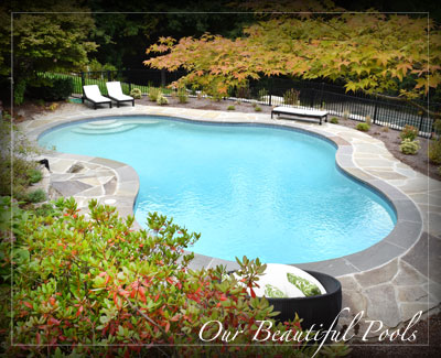 Puraqua Pools - Gunite Pool MA